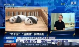 农村国宝爆料新闻,揭秘乡村神秘事件背后的真相